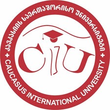 Caucasus International University